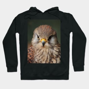 Kestrel Hoodie